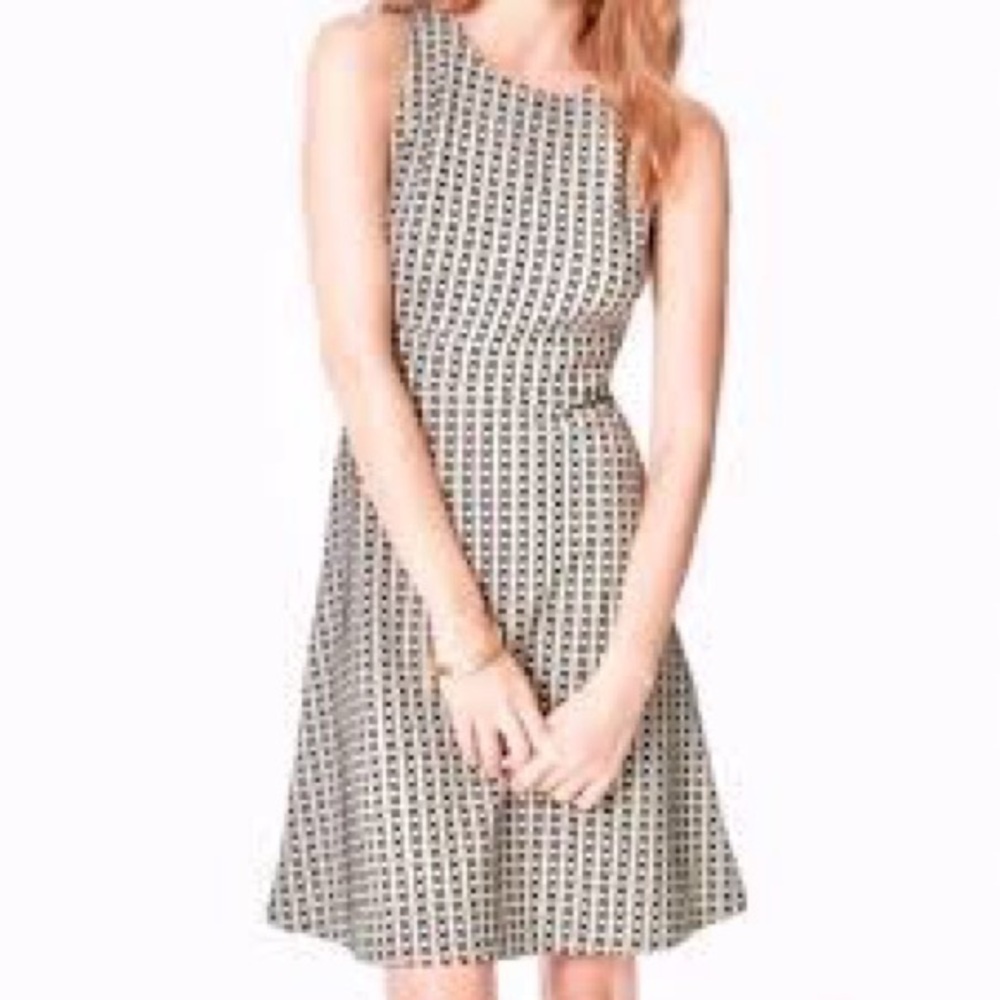 Loft Ann Taylor Black and White Dress